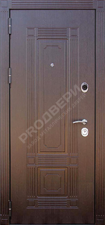 Фотография «Дверь Порошок №4»