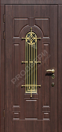 Фотография «Дверь с ковкой №6»